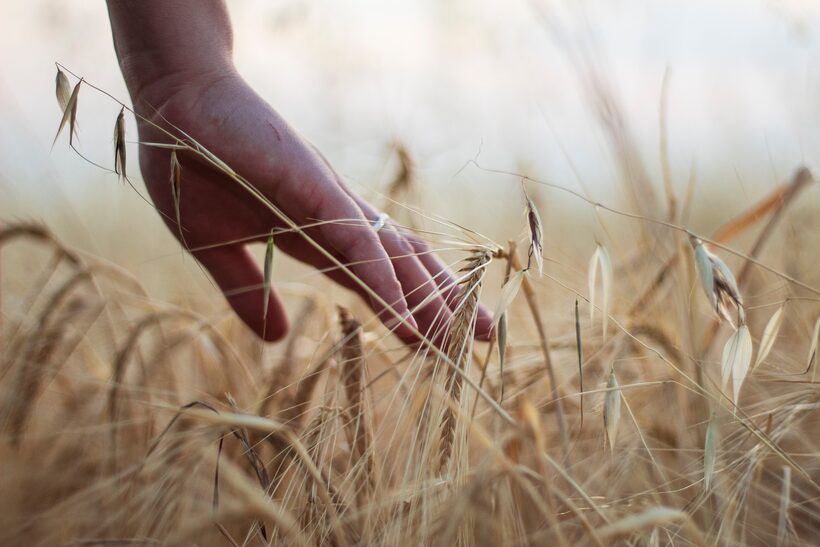 Environment & Agriculture